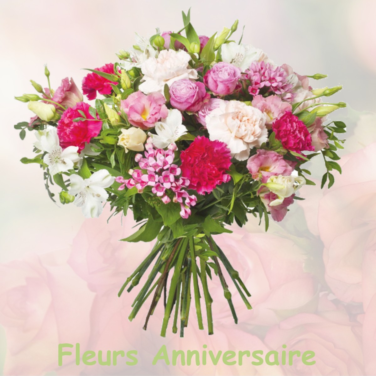 fleurs anniversaire CLERMONT-DE-BEAUREGARD